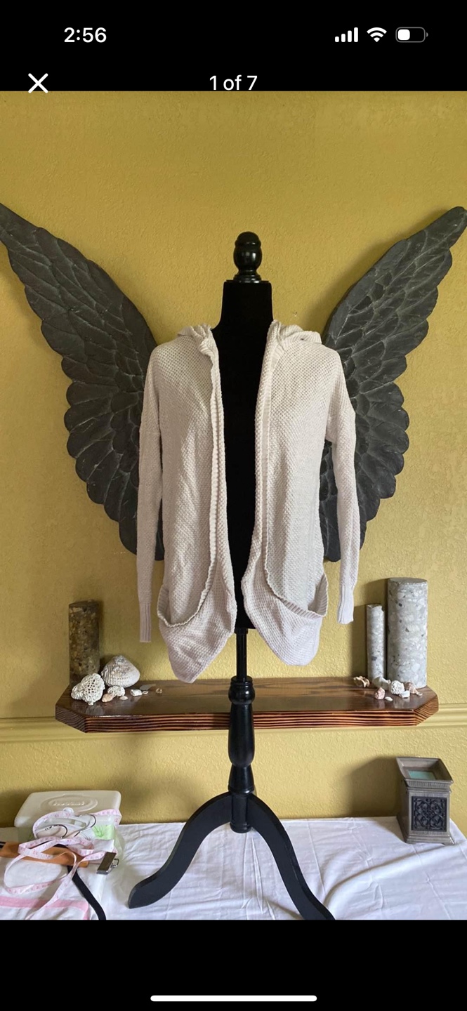American Eagle Outfitters Knit Hooded Cardigan Sweater