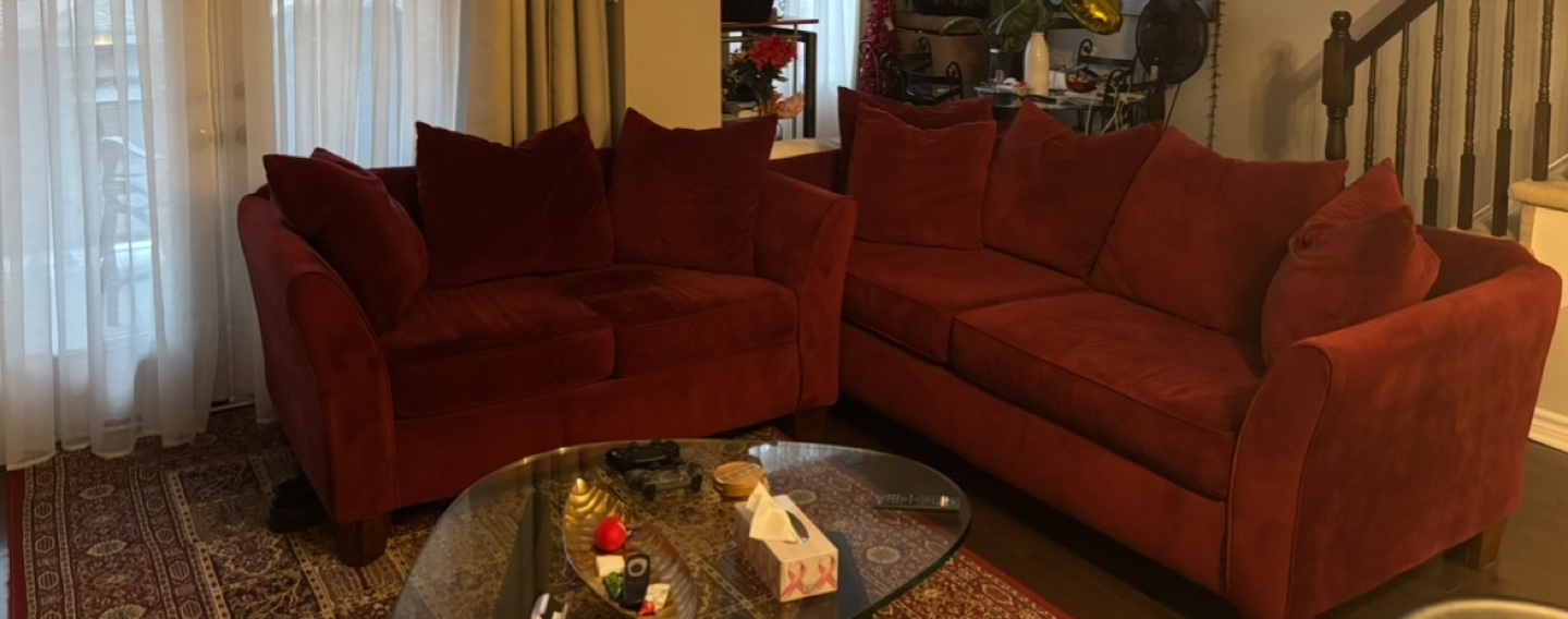 Burgundy Velvet Sofa Set