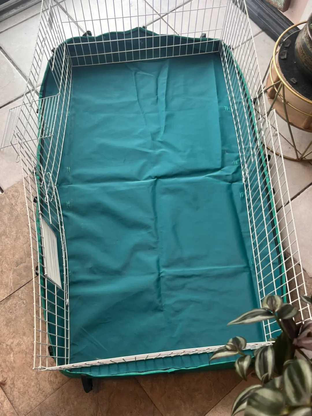 MidWest Guinea Habitat Cage with Floor Cover image indicator(3)