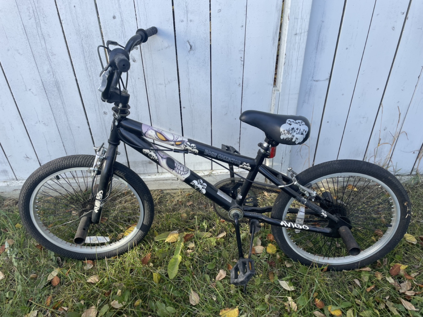 Avigo BMX Bike