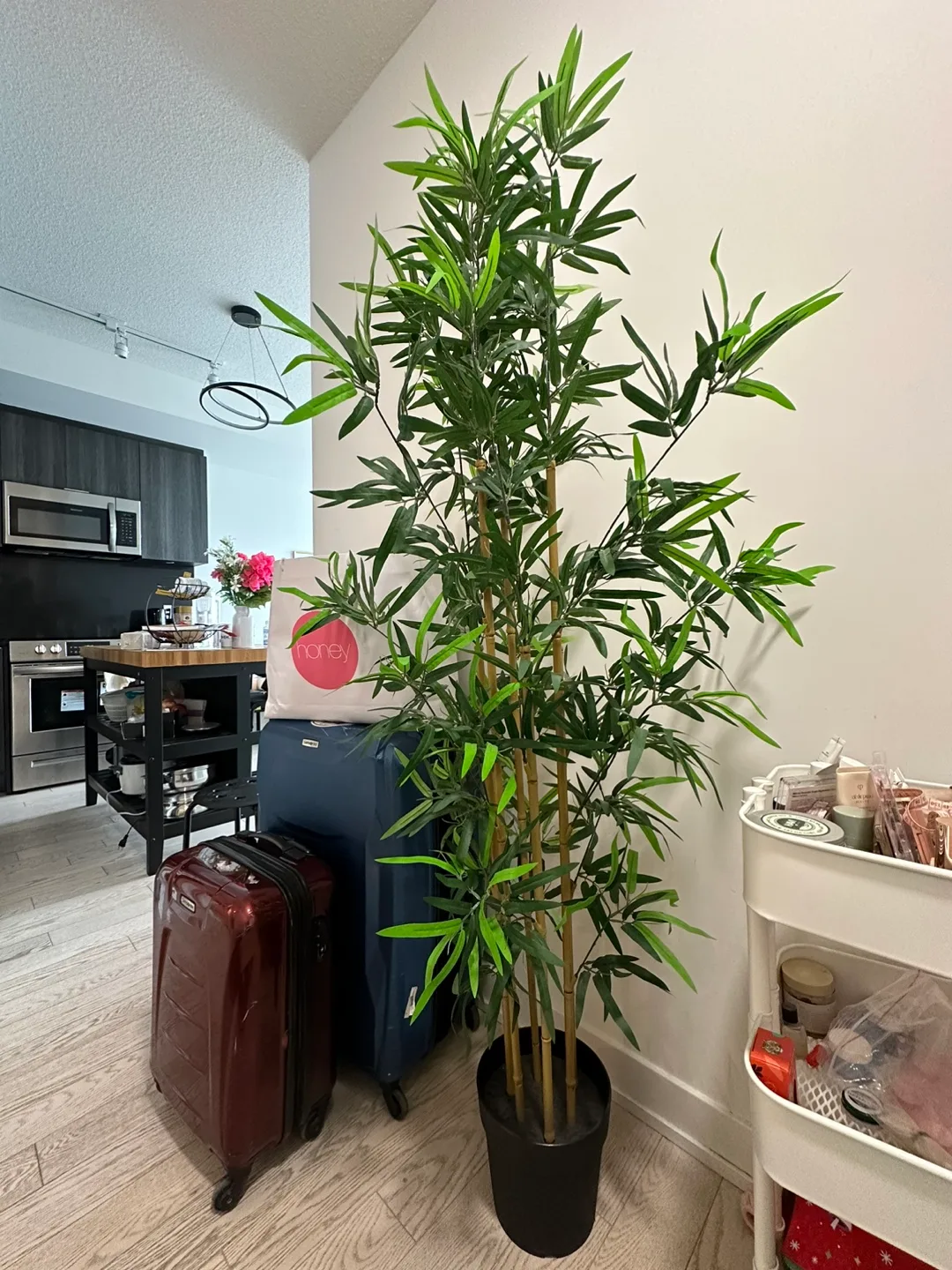 IKEA FEJKA Artificial Plant thumbnail