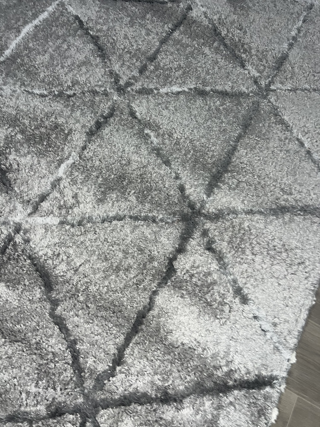 Gray and White  Area Rug - photo 2
