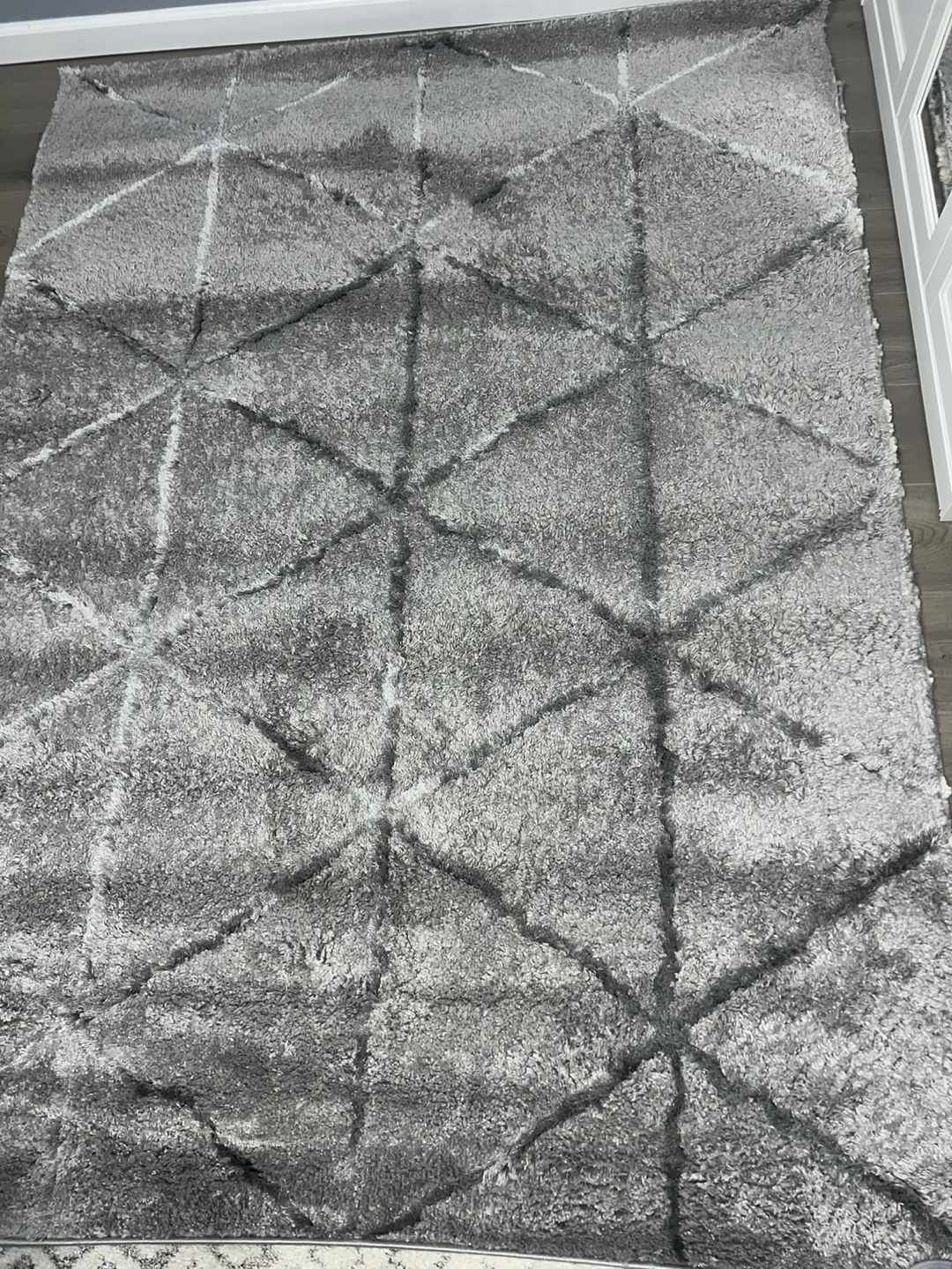 Gray and White  Area Rug