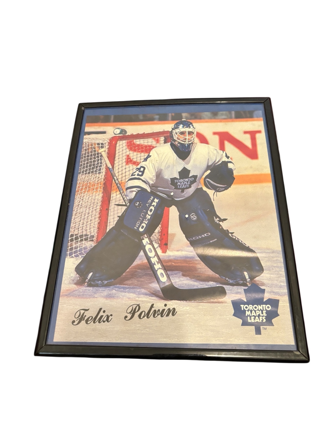 Framed Felix Potvin Toronto Maple Leafs Hockey Photo 🏈