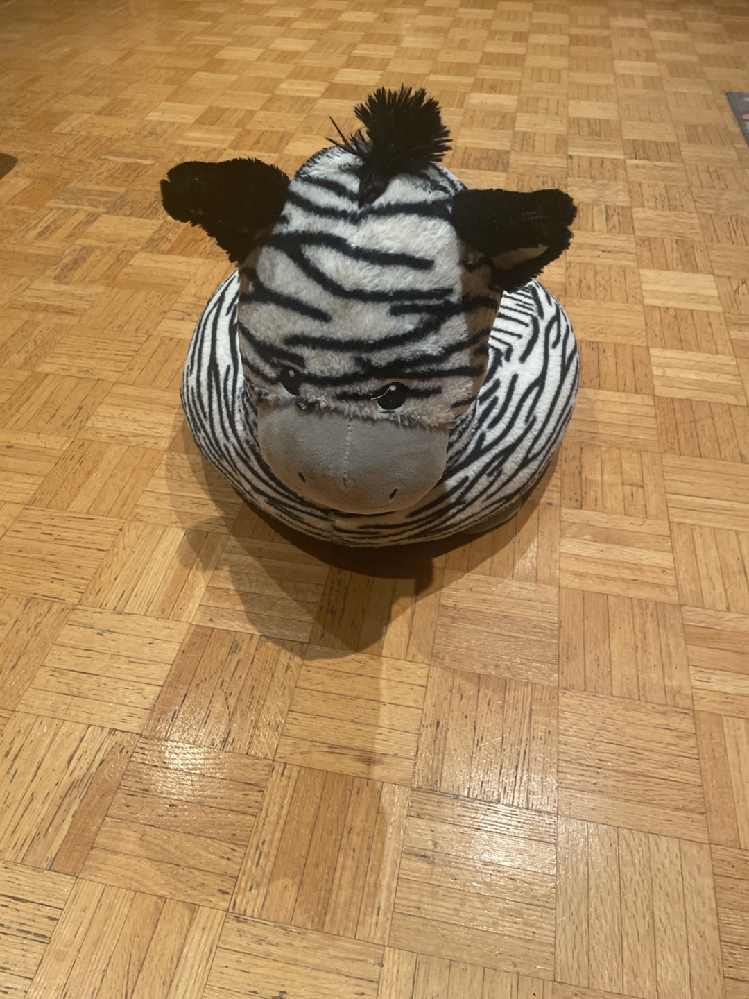 Zebra cushion