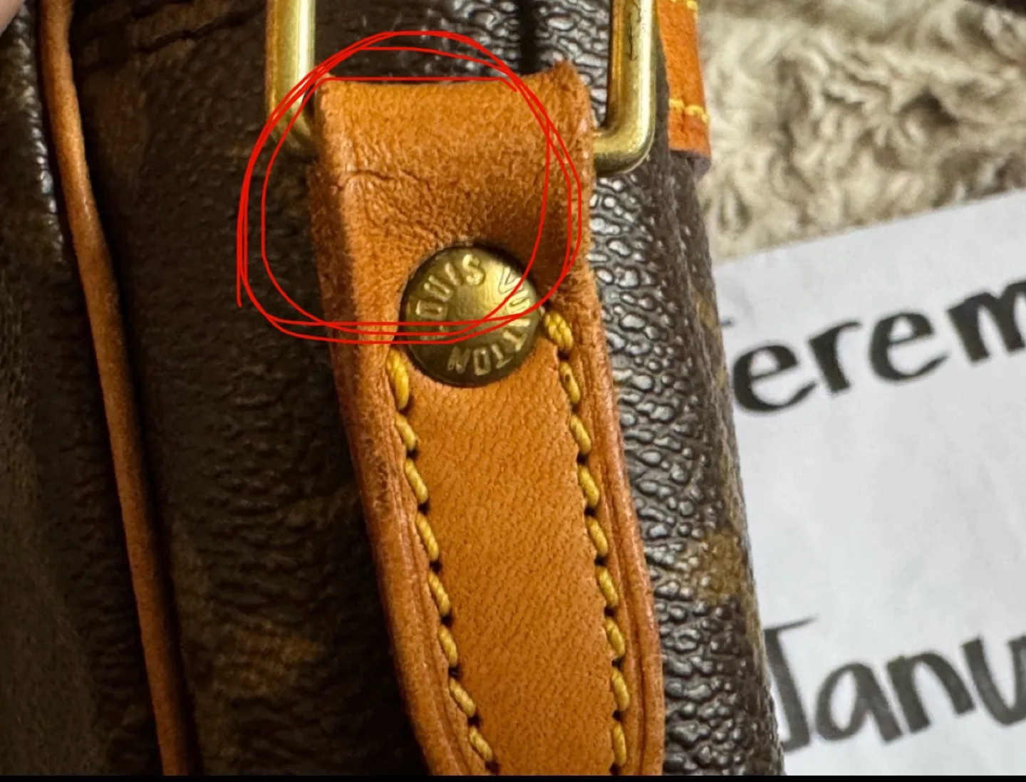 Louis Vuitton Danube Authentic image indicator(7)