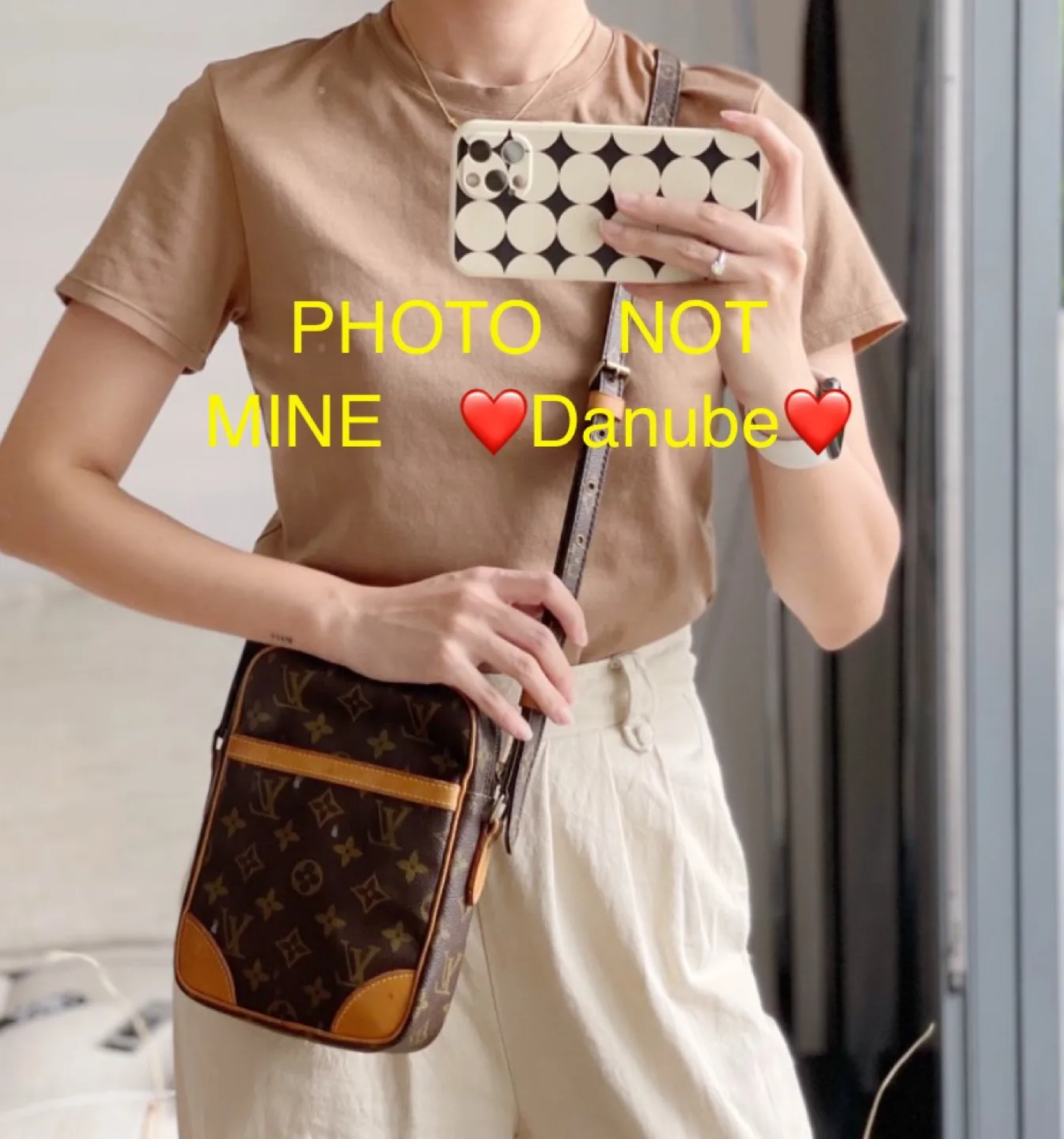 Louis Vuitton Danube Authentic image indicator(8)