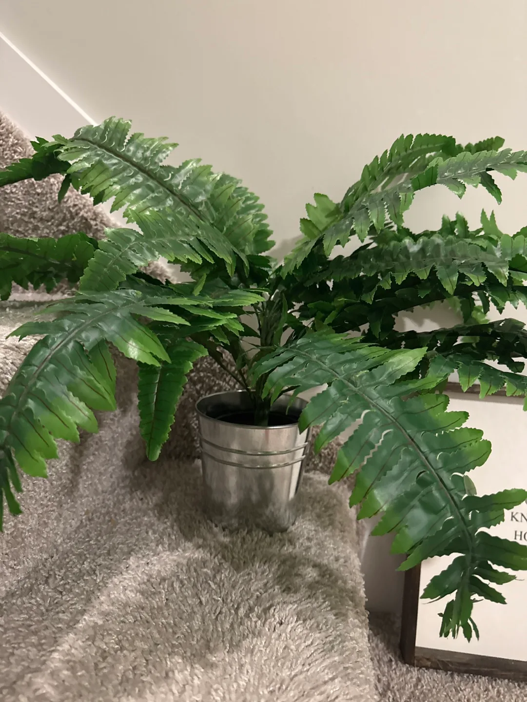 Artificial Fern Plant in Galvanized Metal Pot image indicator(2)