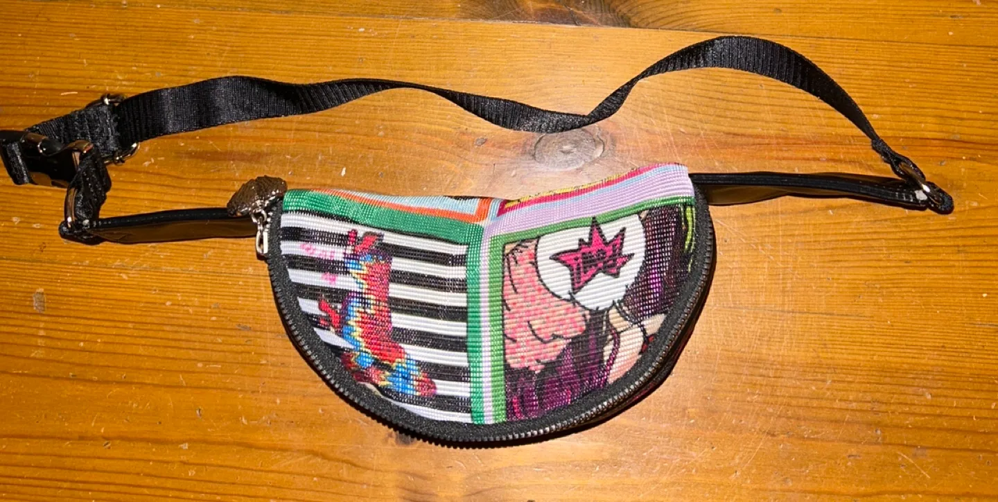 Betsey Johnson Colorful Mesh Fanny Pack 🏈 image indicator(2)
