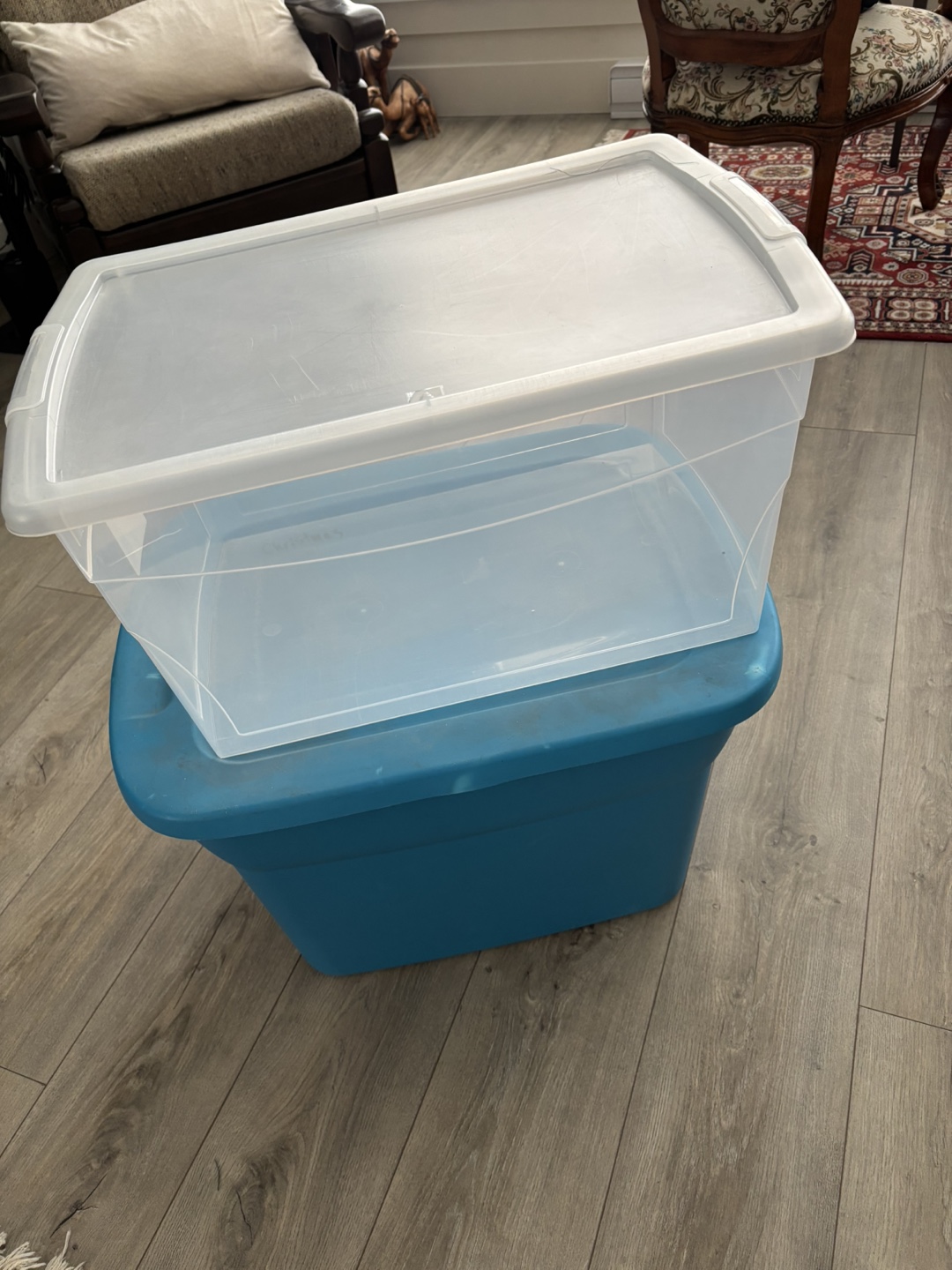 Two Storage Bins - One Clear, One Blue