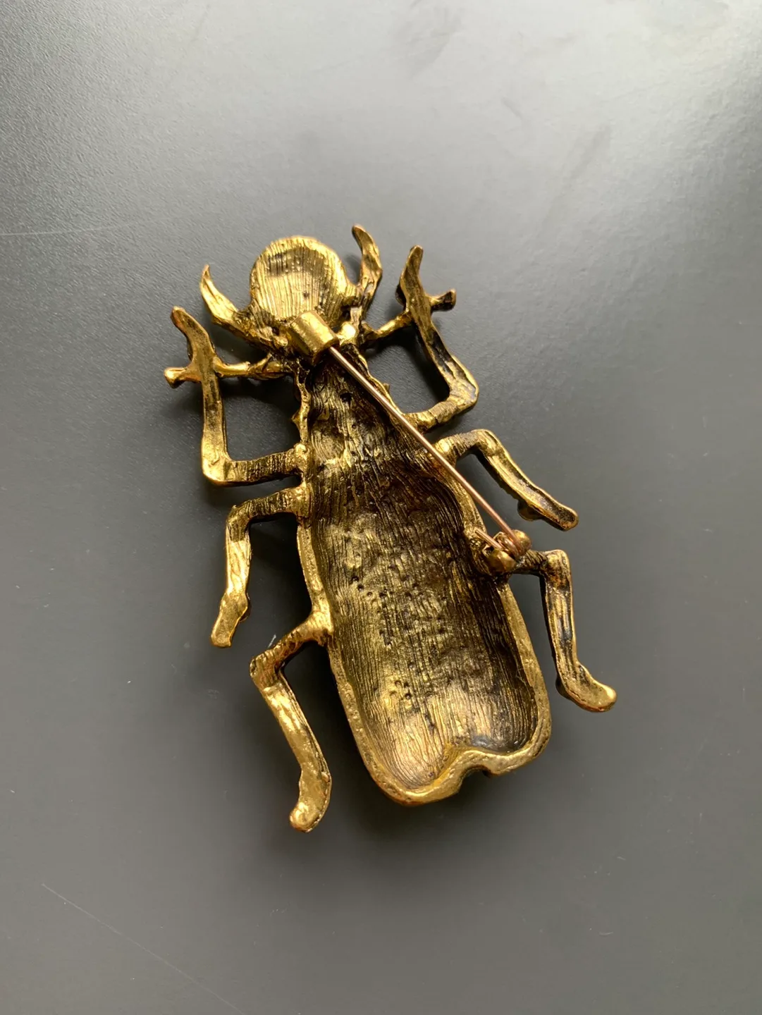 Gorgeous Blue Beetle Brooch image indicator(2)