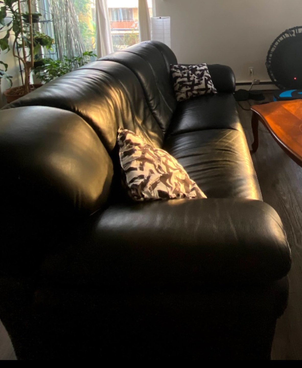 Black Leather Sofa