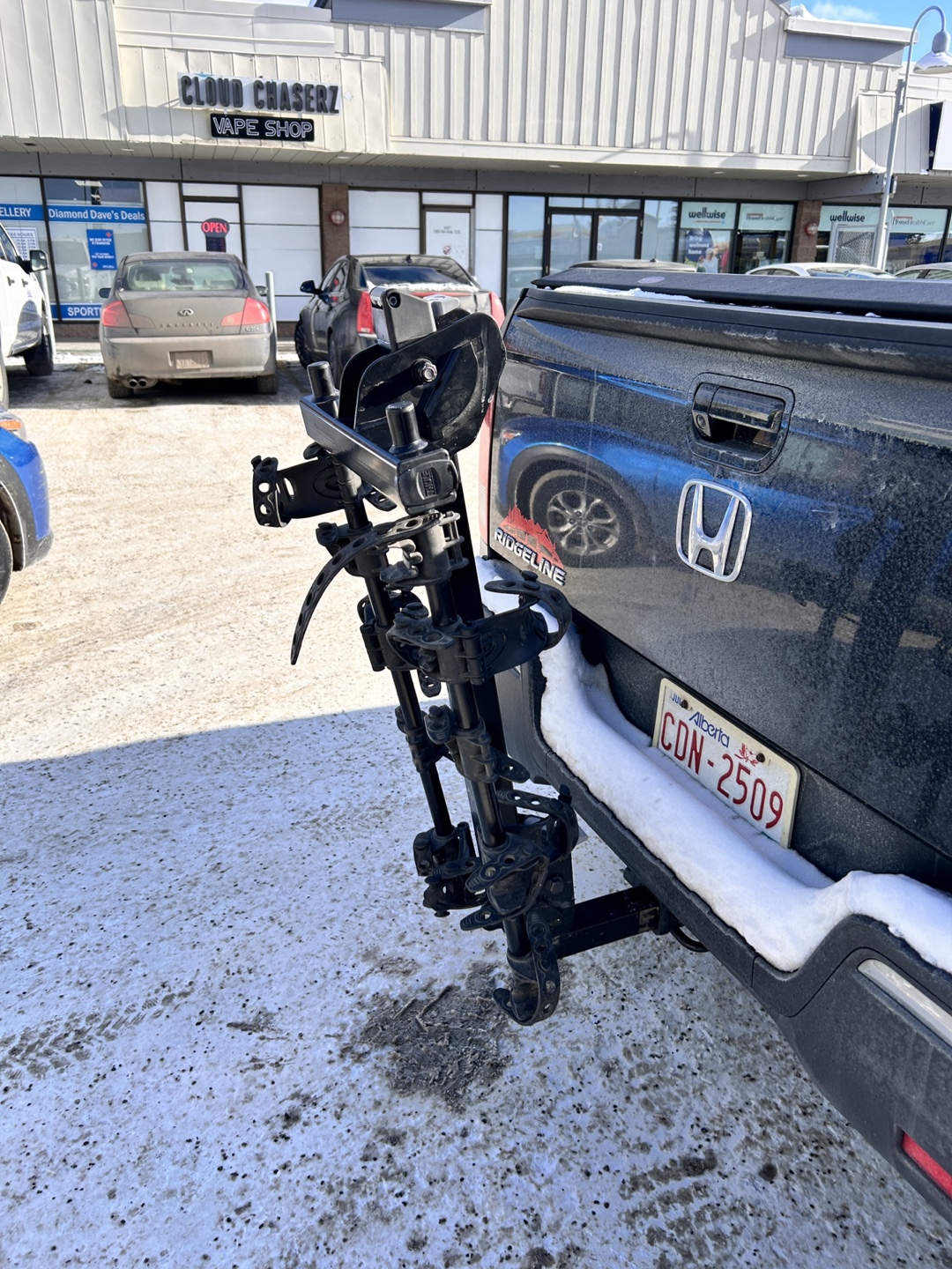 Thule Hitch-Mounted Bike Rack - photo 2