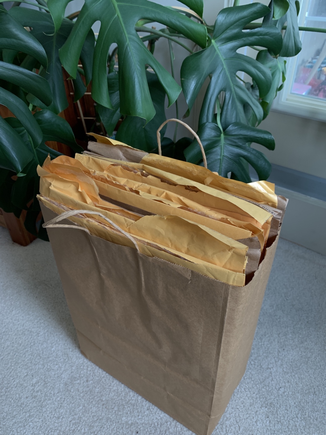 Free Bubble Mailers