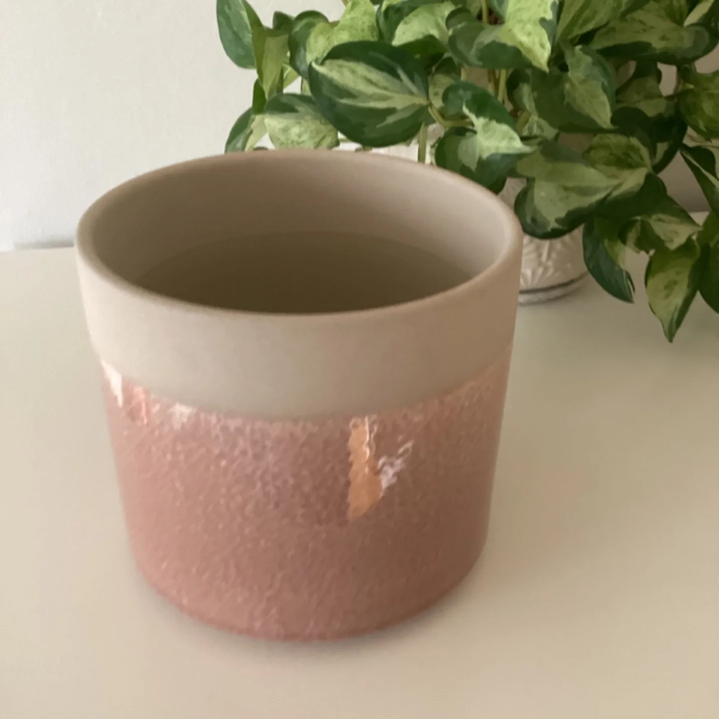 Blush Pink Ceramic Planter Pot 🏈 image indicator(2)
