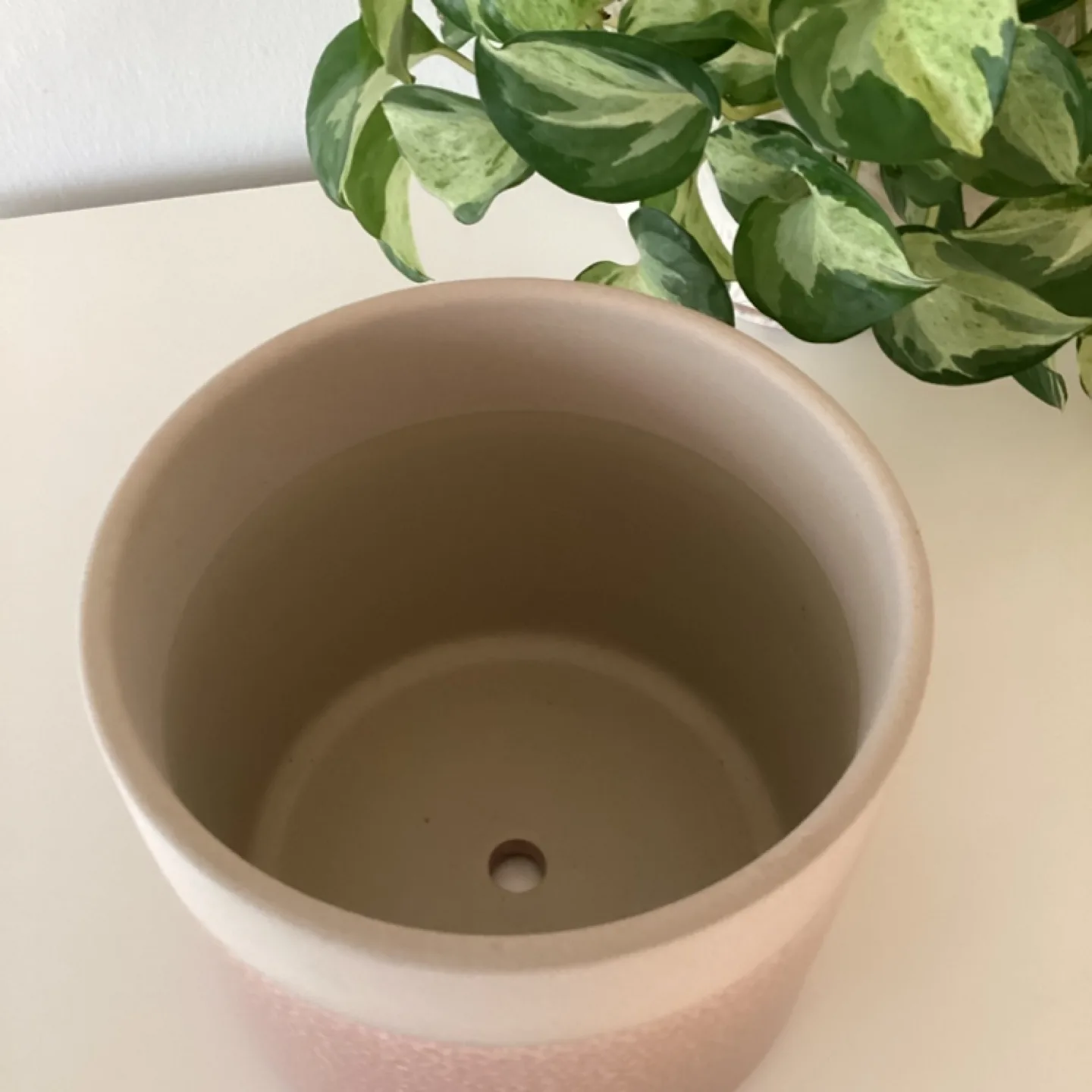 Blush Pink Ceramic Planter Pot 🏈 image indicator(3)