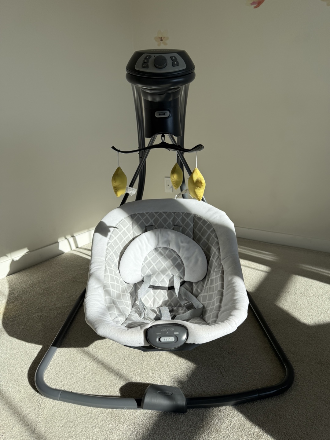Graco Baby Swing