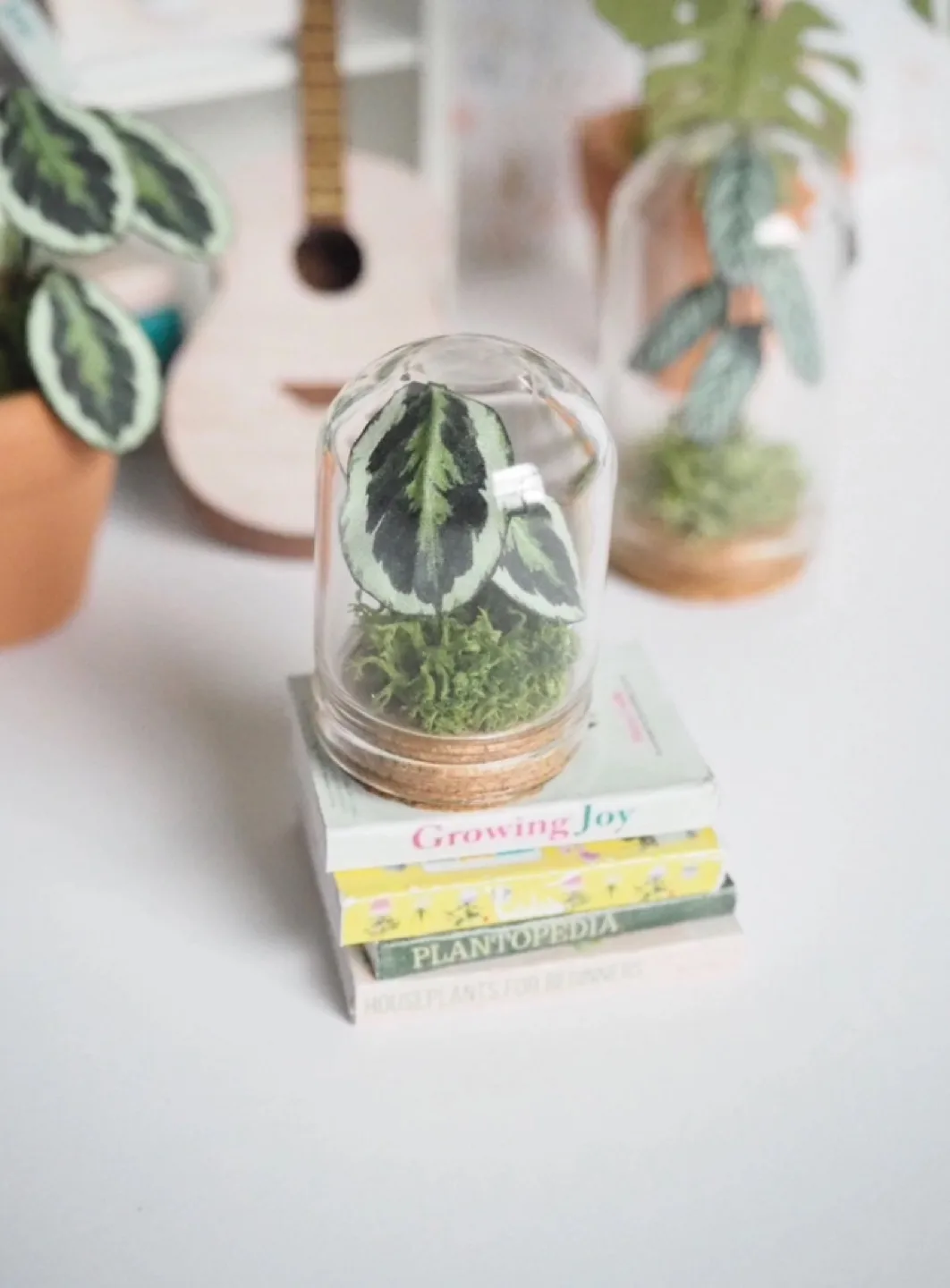 1:12 Scale Miniature Dollhouse Collectible Plant  🏈 image indicator(2)