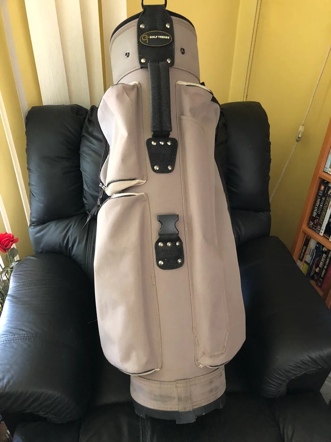 Golf Friends Golf Cart Bag 🏈 image indicator(3)