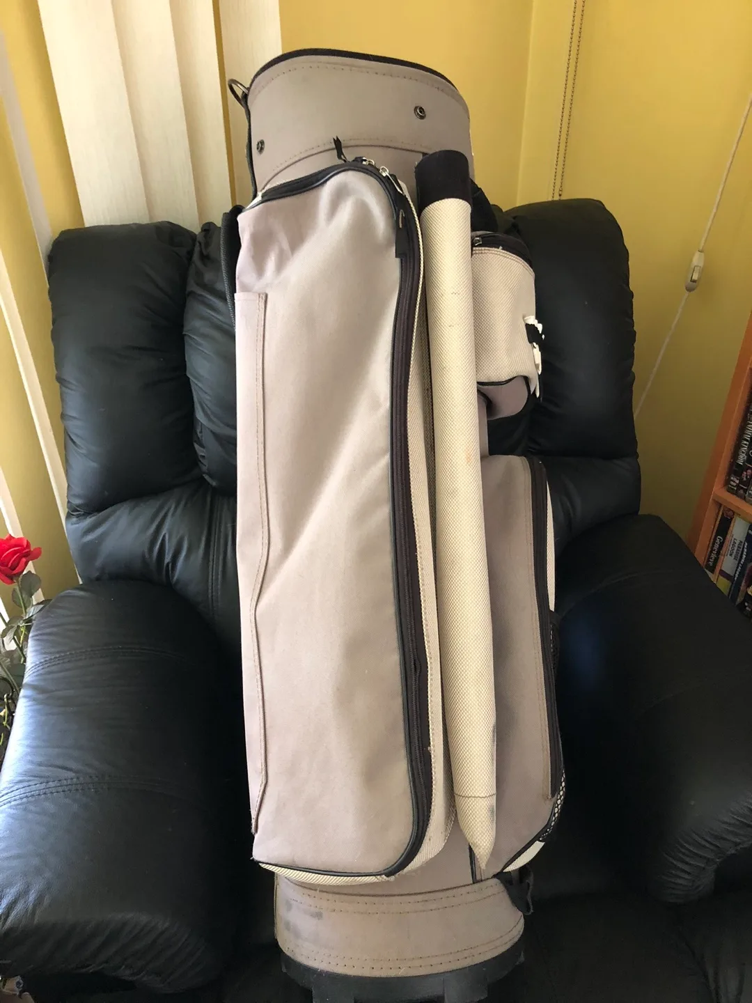 Golf Friends Golf Cart Bag 🏈 image indicator(2)