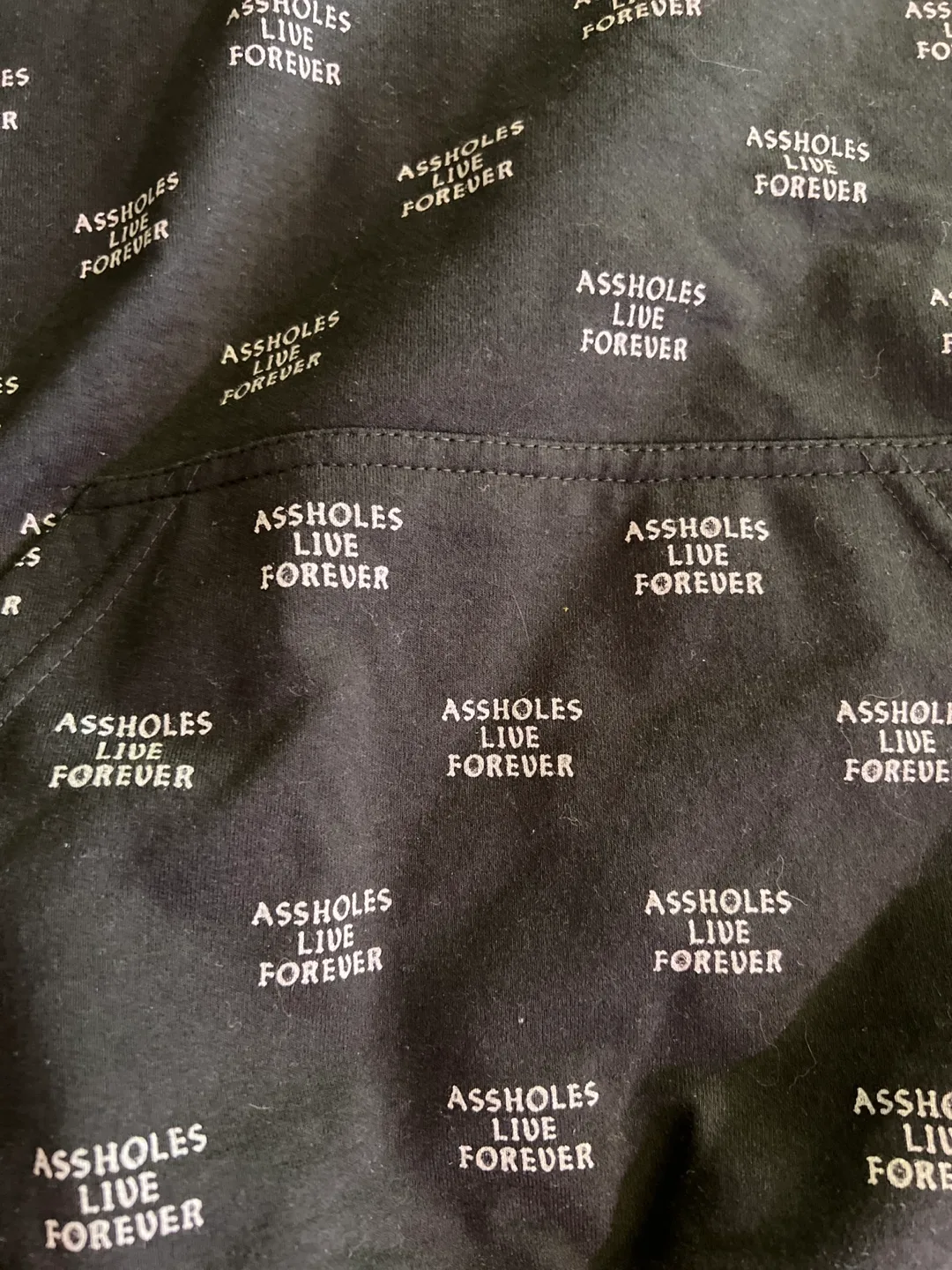 🍒Assholes Live Forever Hoodie - Medium image indicator(3)