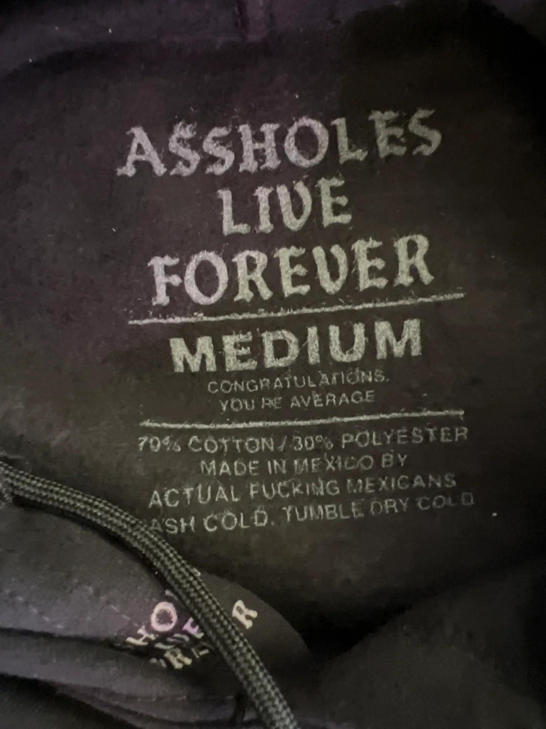 🍒Assholes Live Forever Hoodie - Medium image indicator(4)