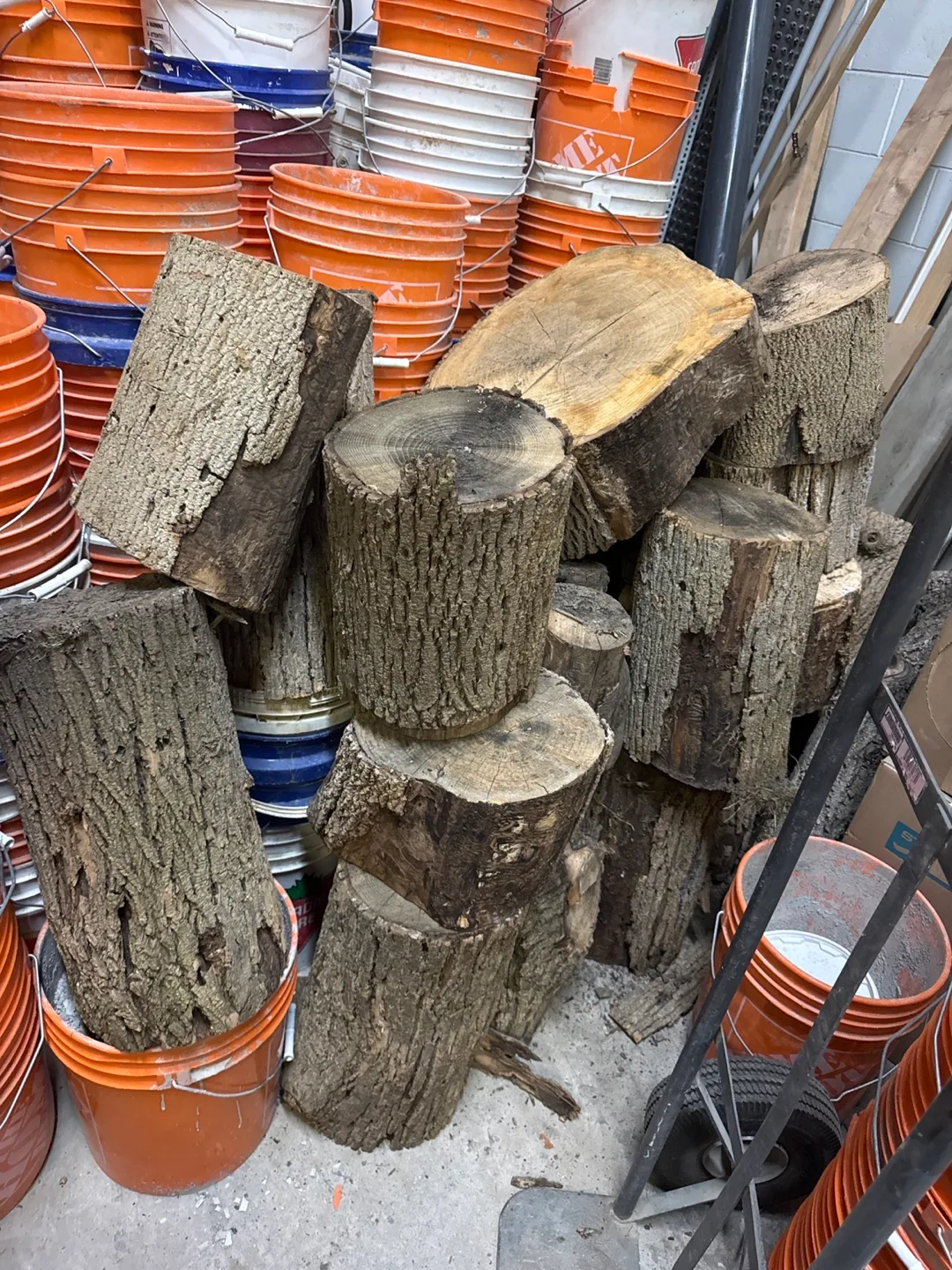 Died ash Logs image indicator(2)