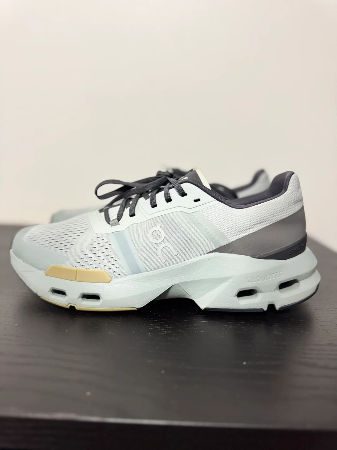 ON Running Cloudpulse Men’s Training Shoes (11US mens) thumbnail