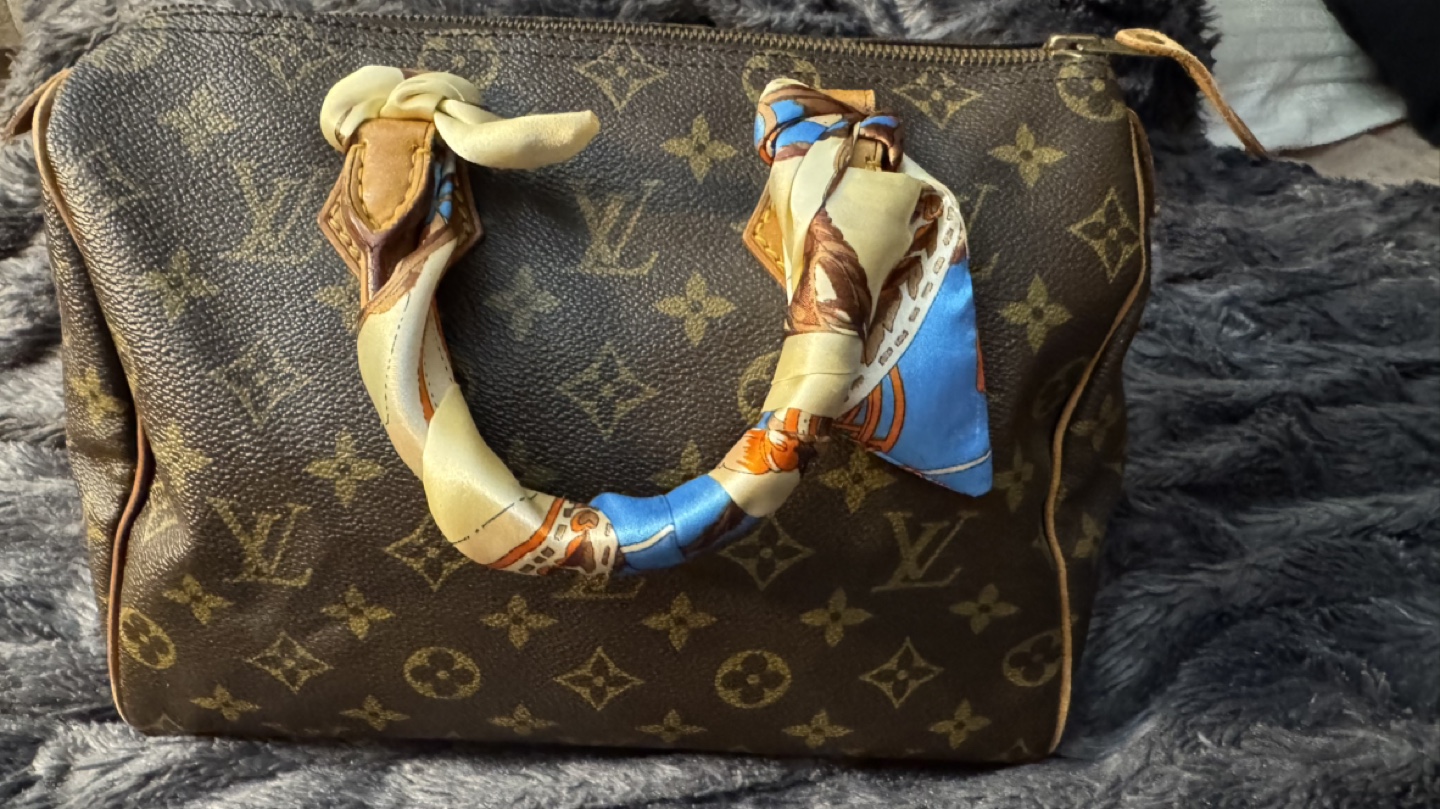 Louis vuitton speedy 25 monogram