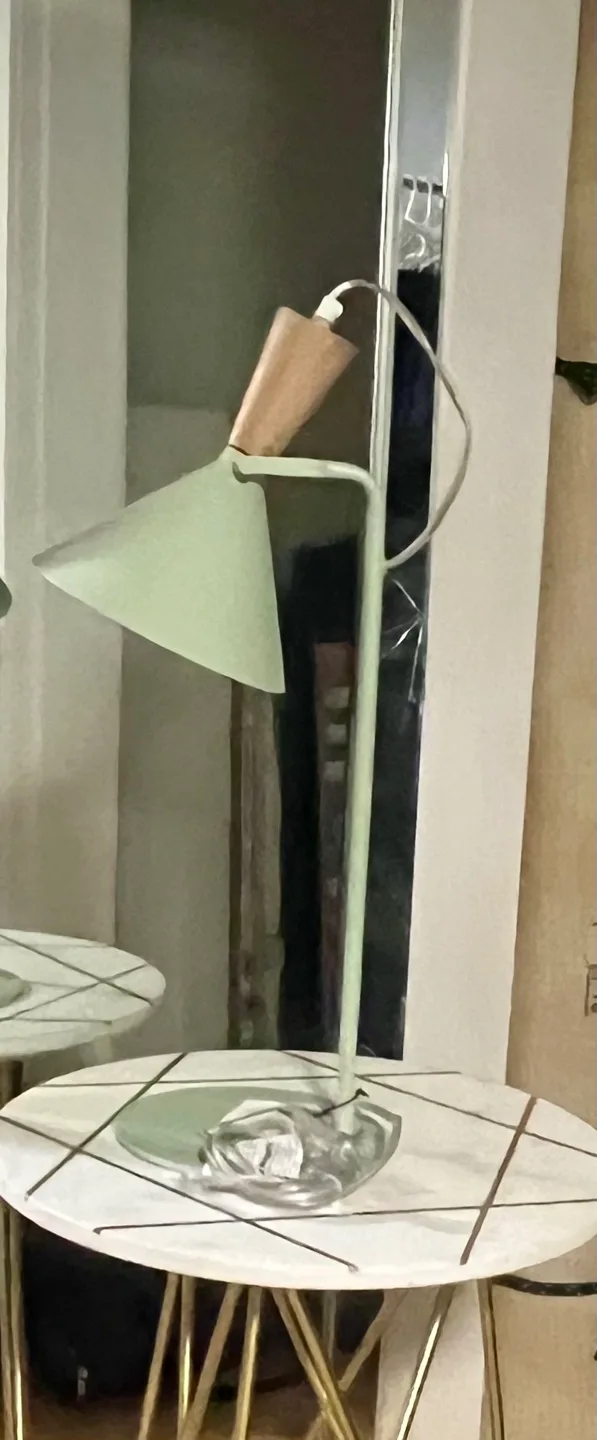 Home Sense Sage Green Desk Lamp with Wood Accent image indicator(2)