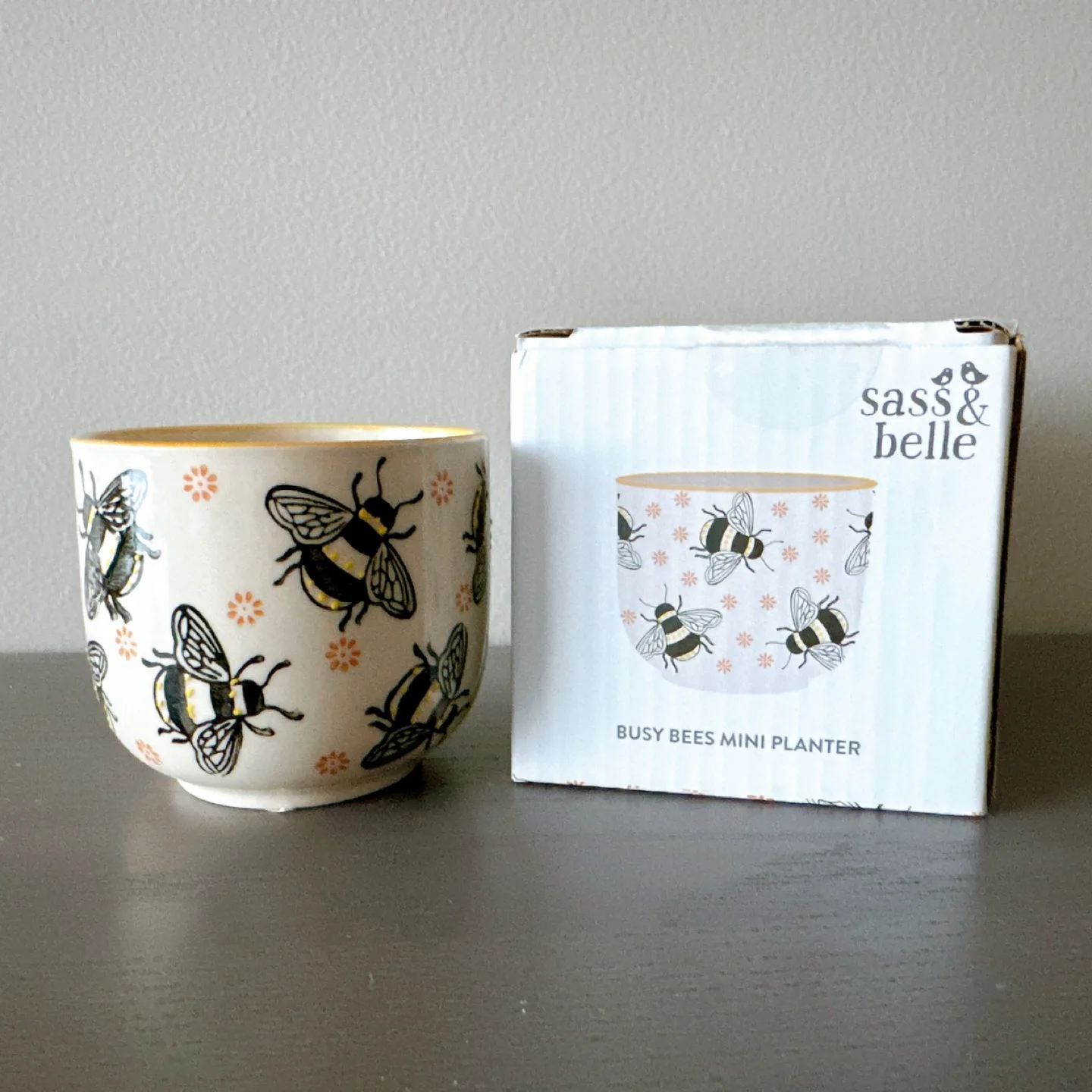 Sass & Belle Busy Bees Mini Planter ceramic thumbnail