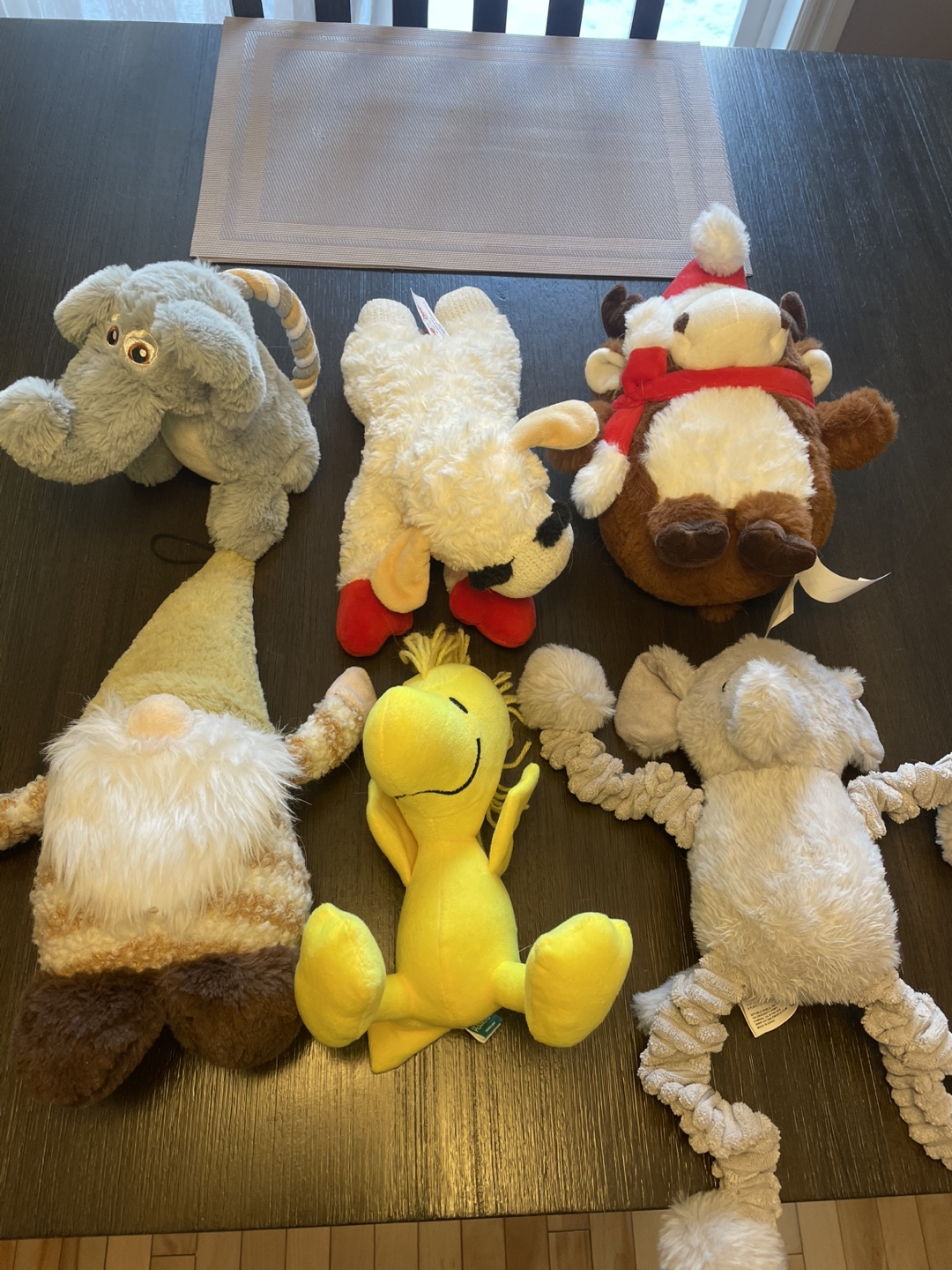 Squeaky dog toys