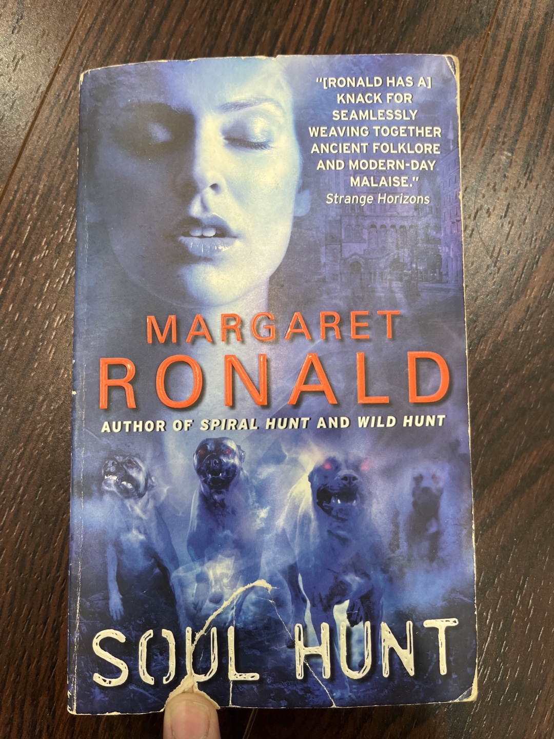 Margaret Ronald's Soul Hunt Paperback Book