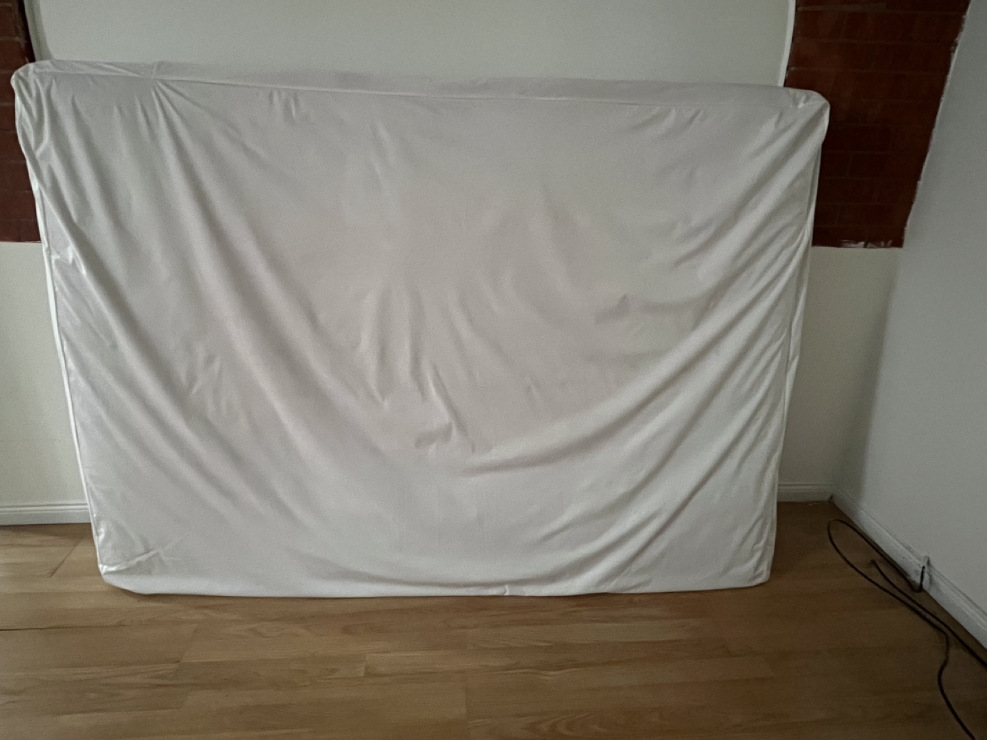 Queen Mattress in White Mattress Protector - photo 4