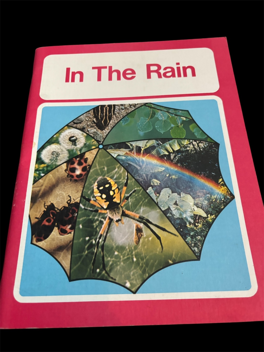 Vintage Children's Book - In The Rain