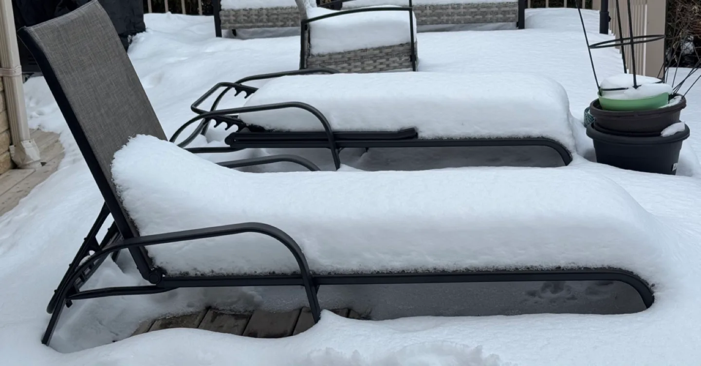 Pair of Black Metal and Textilene Chaise Lounges image indicator(3)