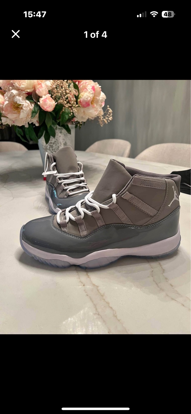 Jordan 11 cool grey