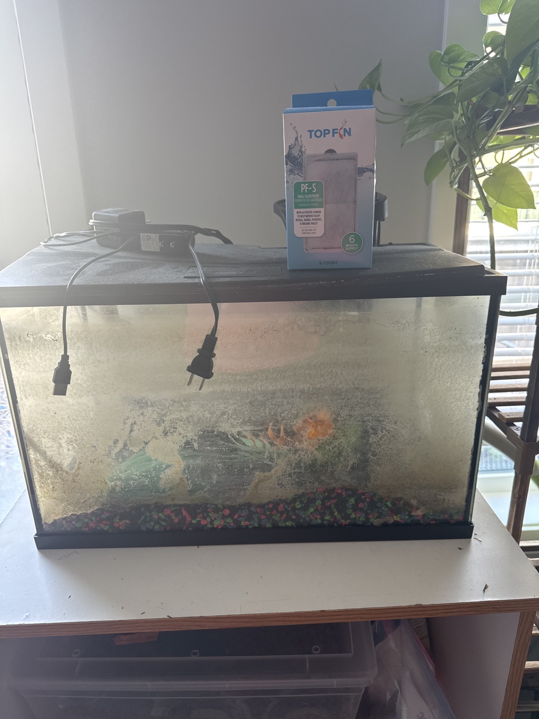 Used Fish Tank with Filter Media
