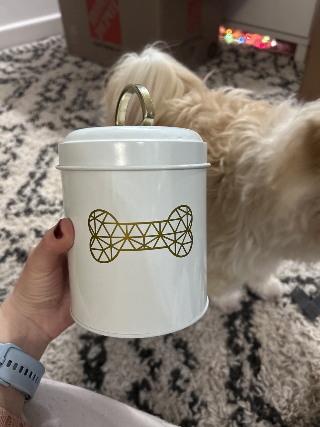 White Metal Dog Treat Jar with Gold Bone Design - photo 2