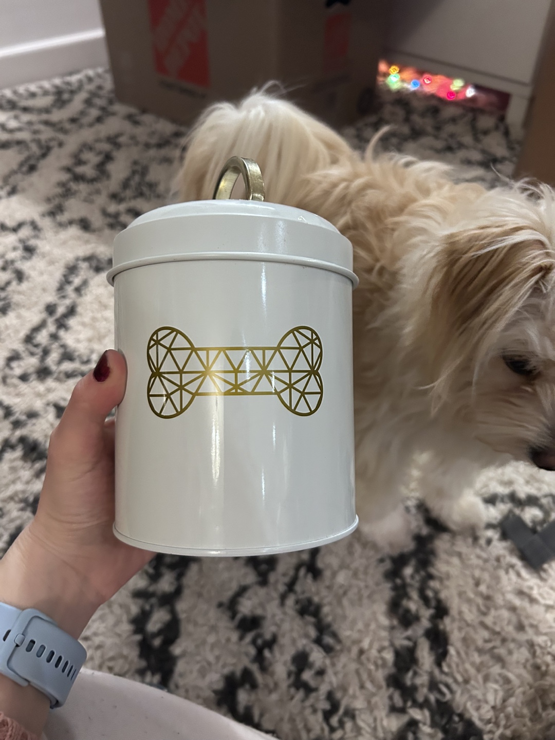White Metal Dog Treat Jar with Gold Bone Design
