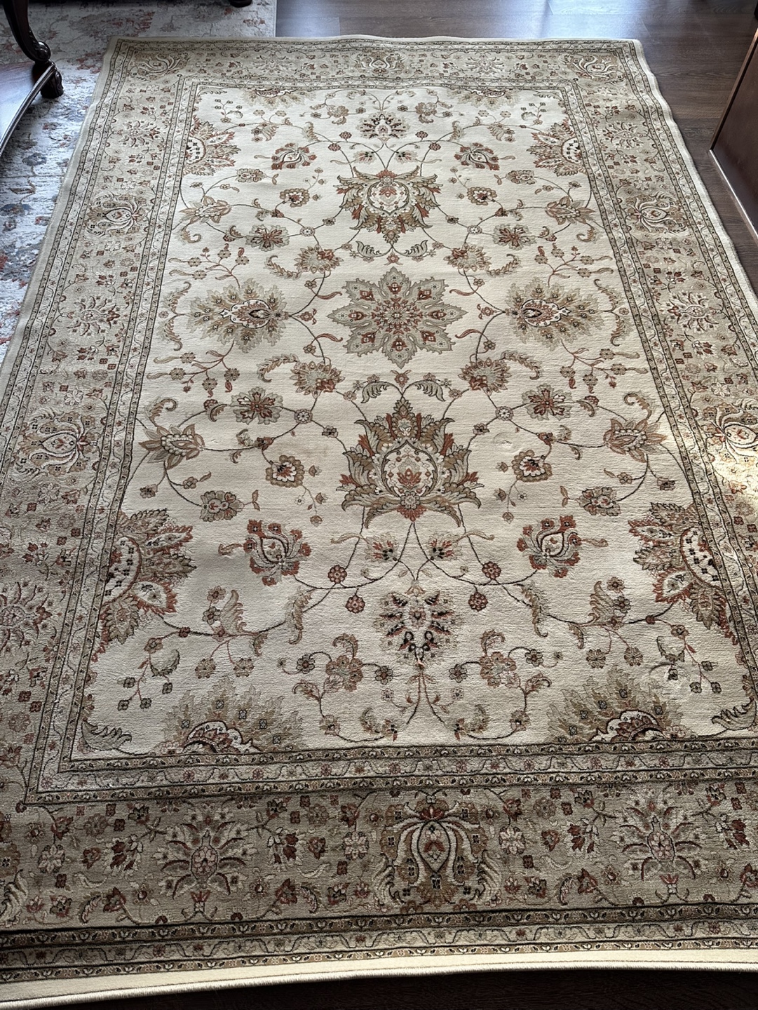 Elegant Cream and Beige Area Rug
