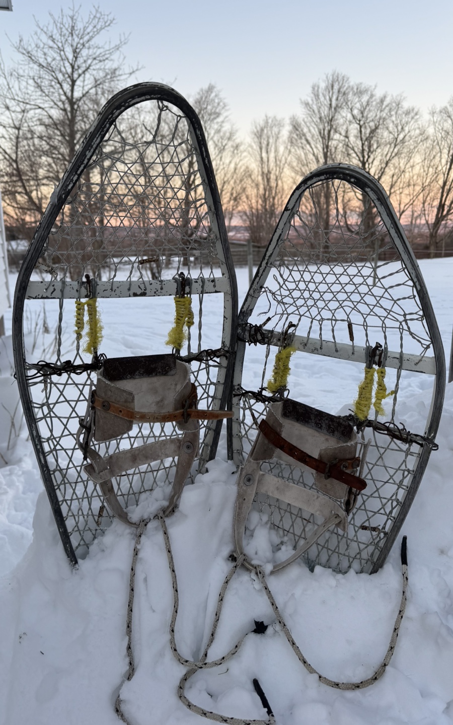 Vintage Snowshoes