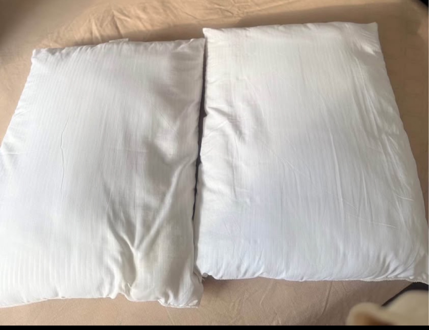 Pair of Standard Pillows