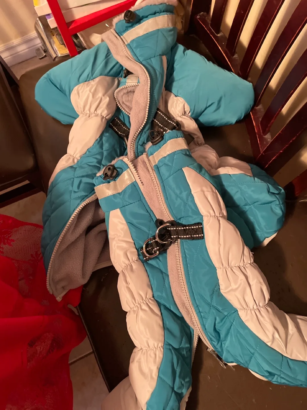 Dog Clothes Bundle - 2 Pieces image indicator(3)