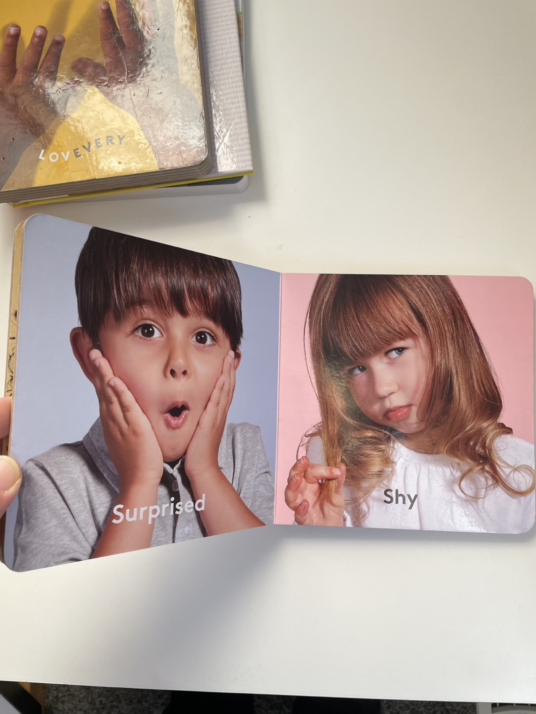 Lovevery Board Books - photo 2