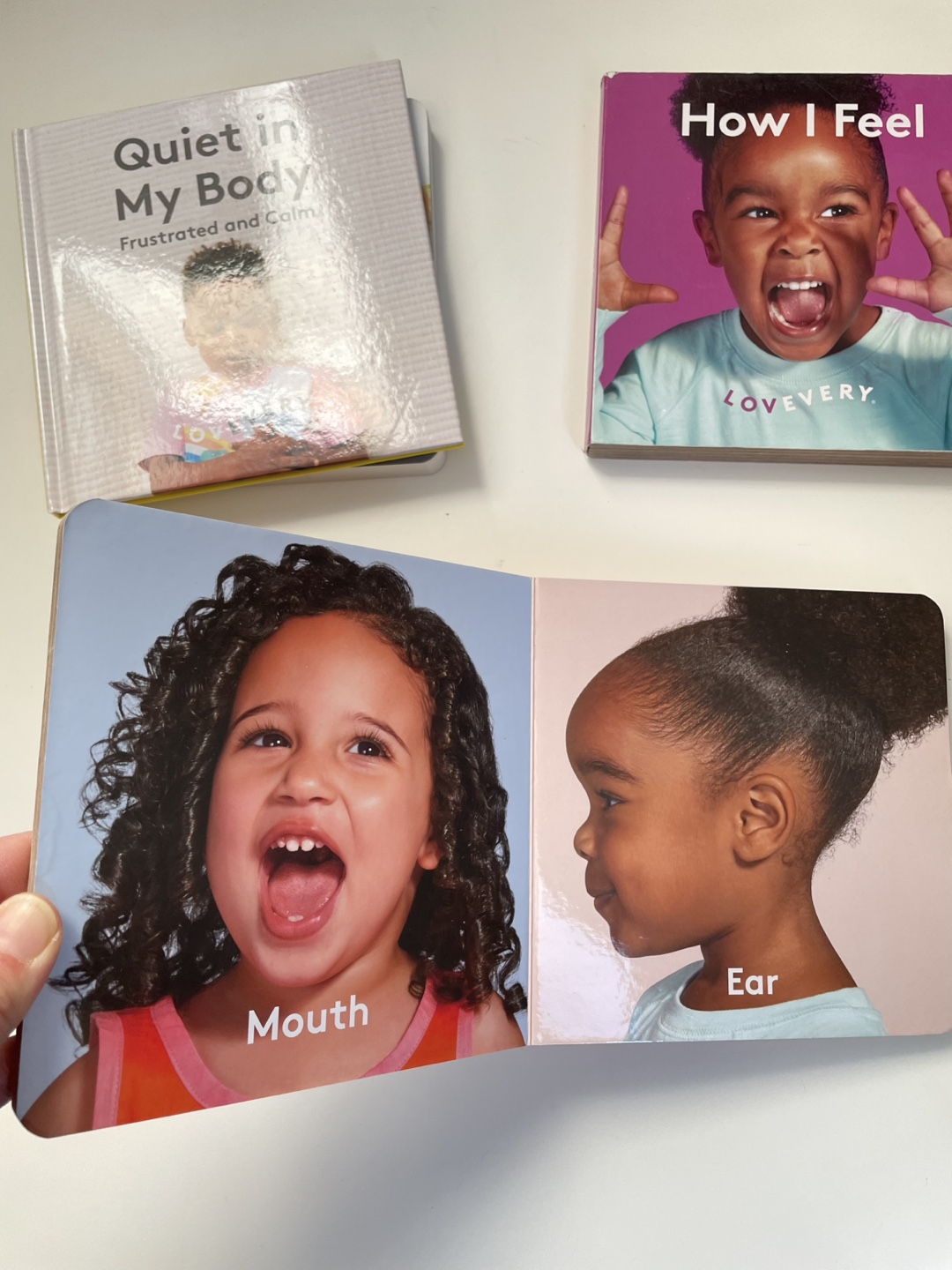 Lovevery Board Books - photo 3
