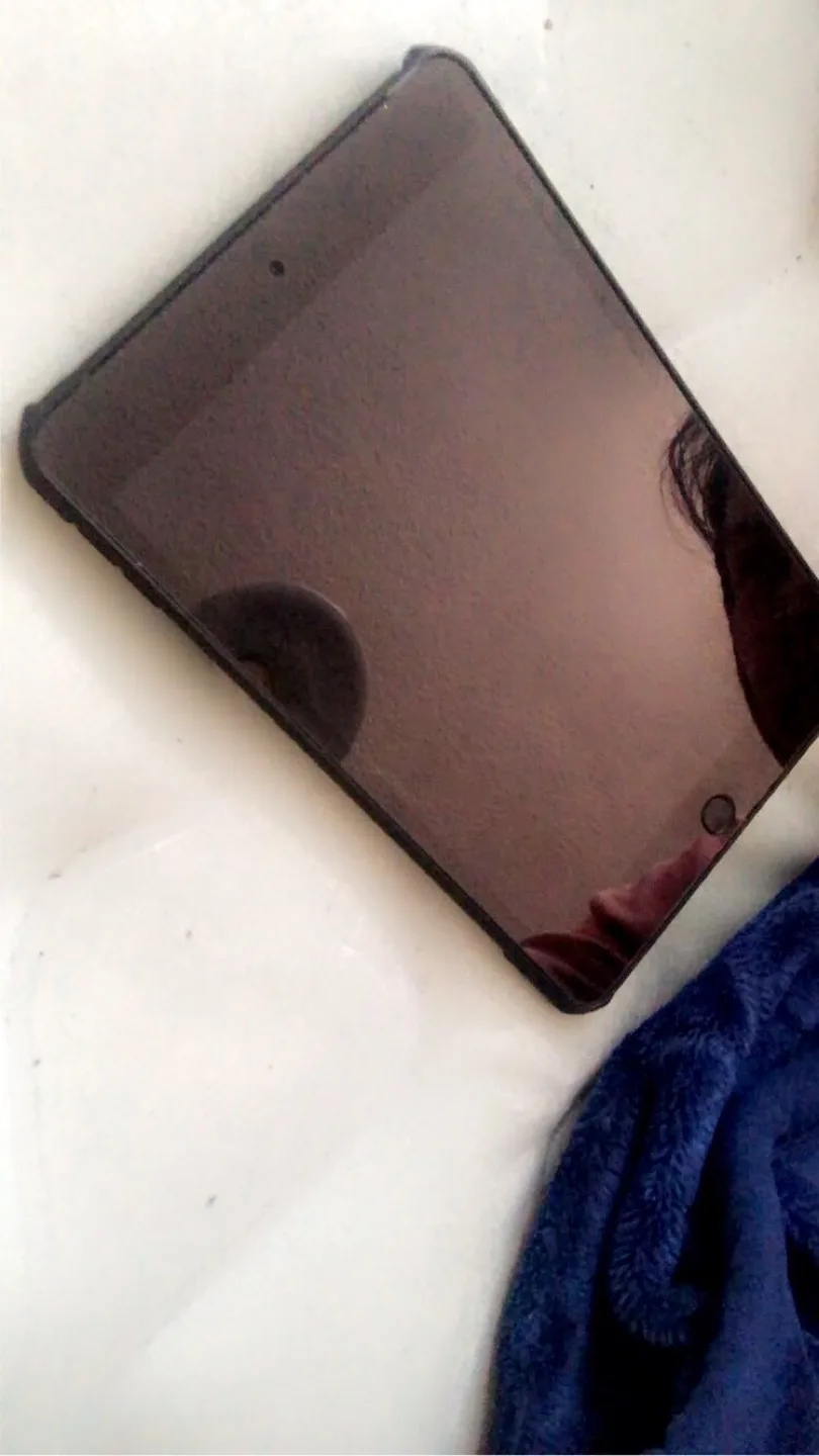 iPad Mini 128 GB 4 cellular/wifi image indicator(2)