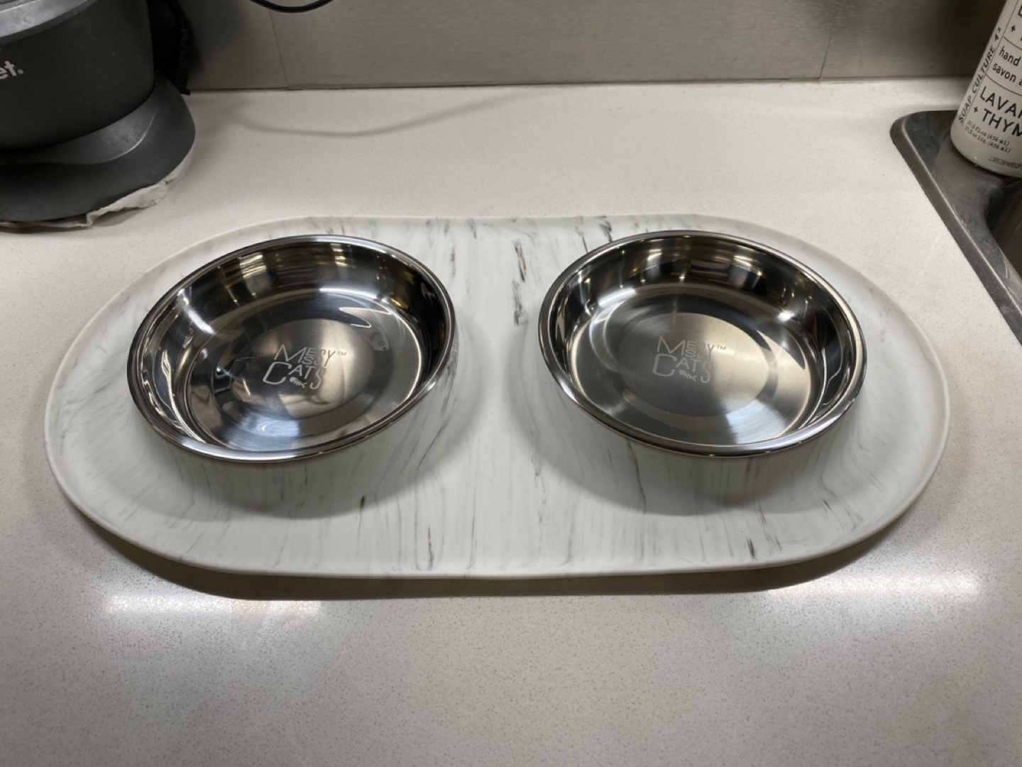 Messy Cats cat bowls