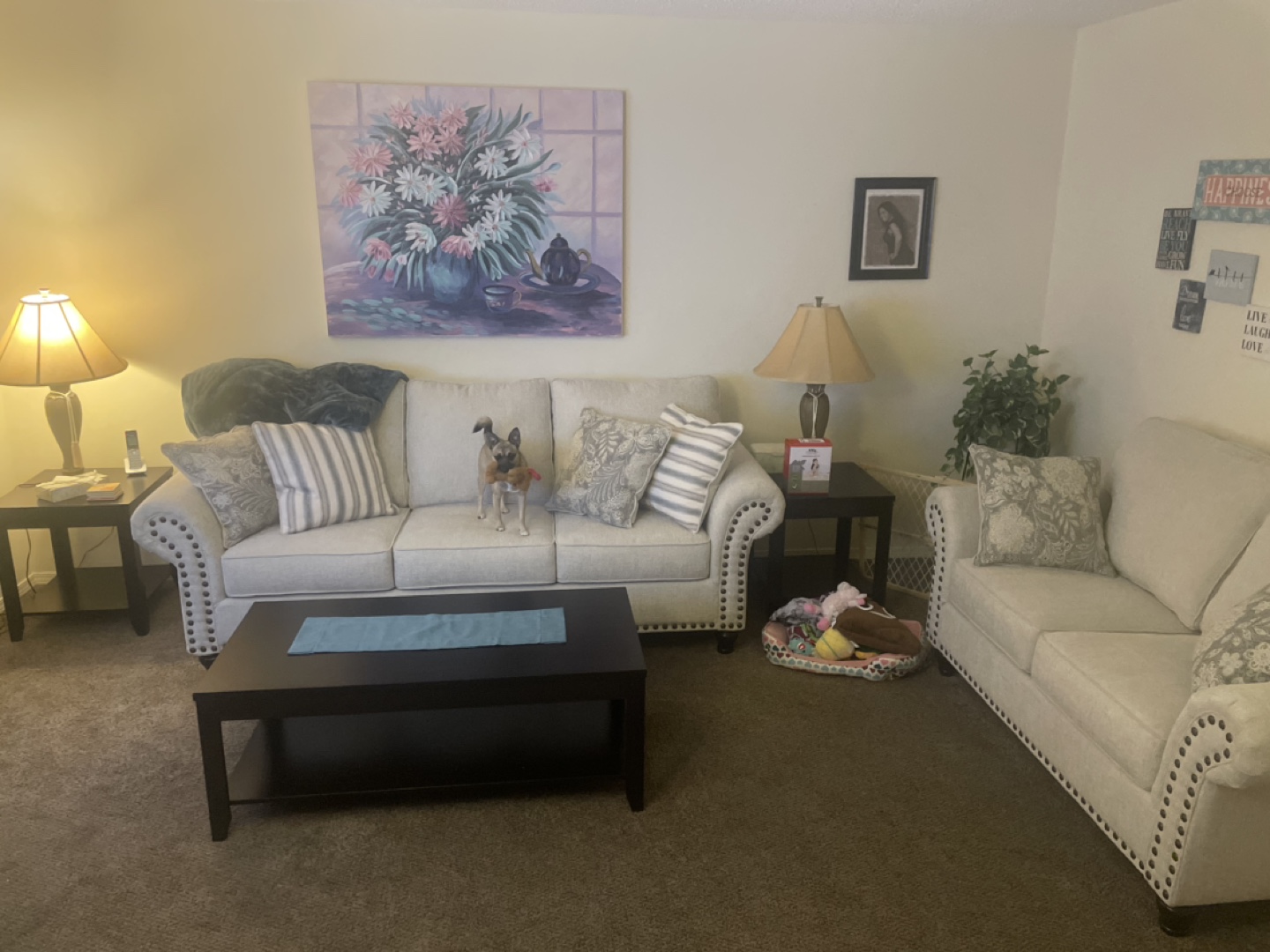 Beige Sofa Set