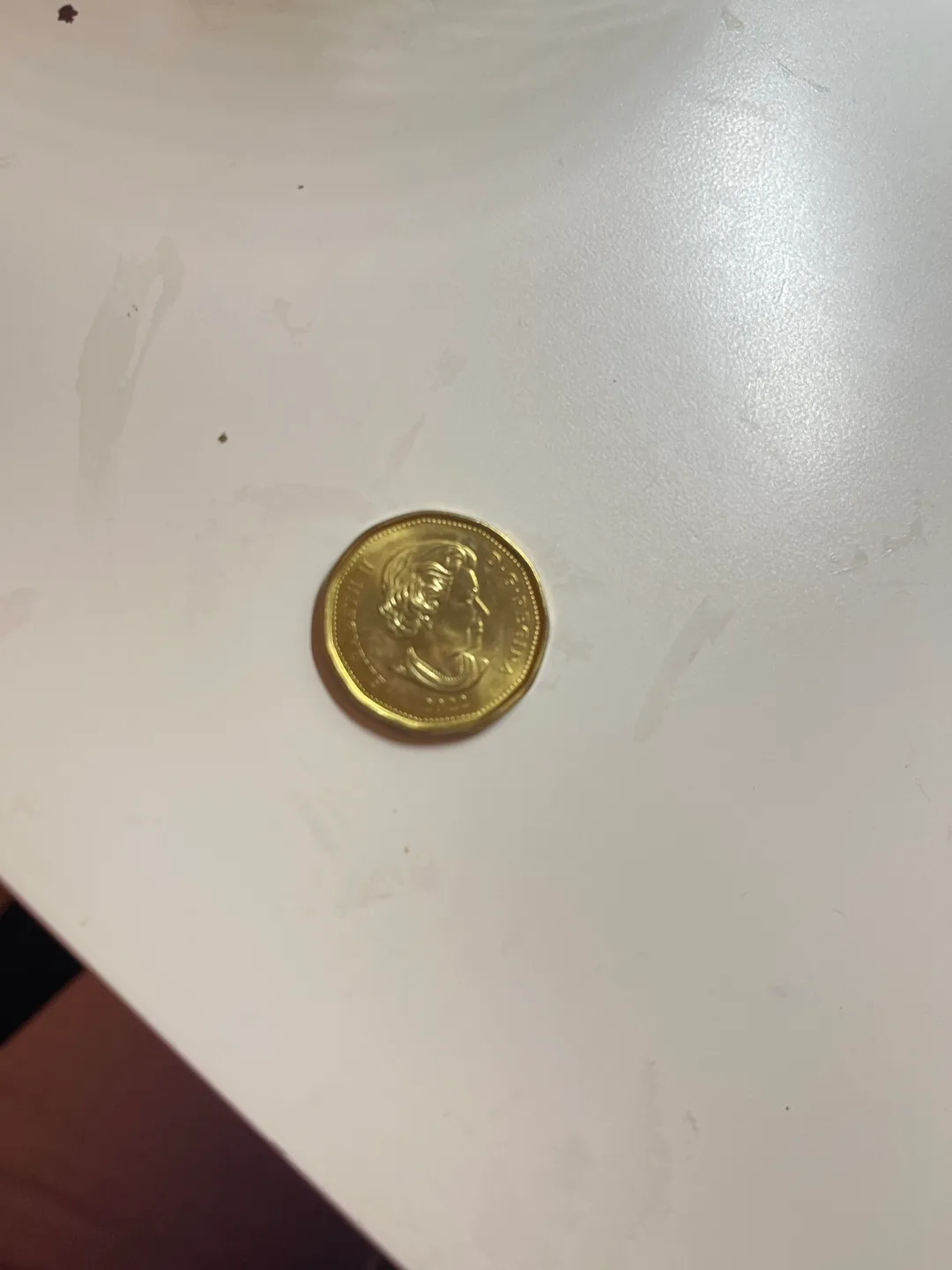 2022 150yrs celebration Canadian Loonie image indicator(2)